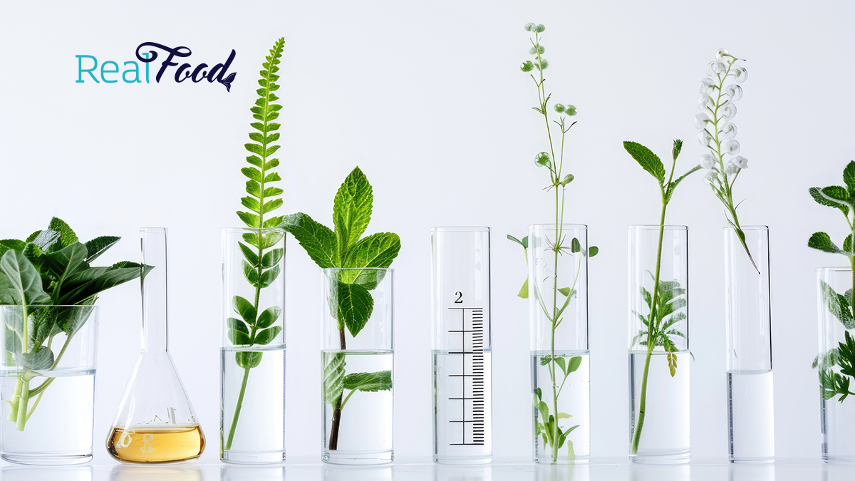 Bio-effective формула: как да избереш добавки, които тялото усвоява