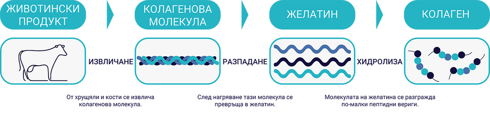 Процес на извличане на колагена.