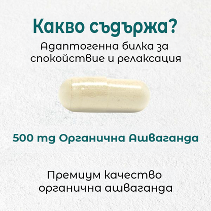 Cytoplan Ashwagandha - Organic